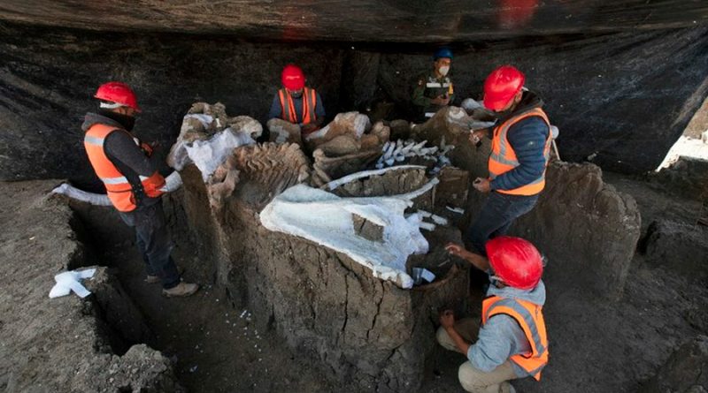 México: suman 200 mamuts los encontrados en Santa Lucía