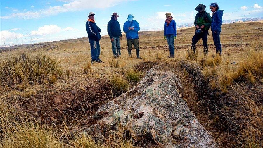 Un árbol fósil reconfigura paisaje de los Andes de hace 10 millones de años