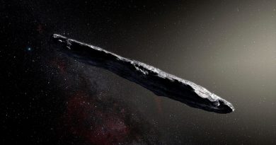 Un 'conejito de polvo', nueva explicación para el objeto interestelar 'Oumuamua