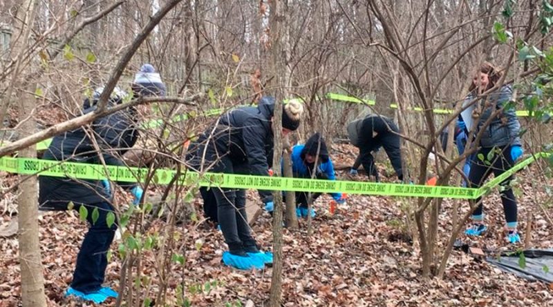 Estos científicos están enterrando cadáveres humanos en medio del bosque para ver cómo afecta su descomposición a las plantas cercanas