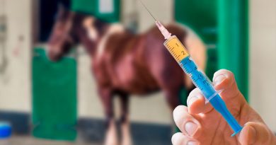 México desarrolla tratamiento que podría curar COVID-19 en 48 horas con suero de caballo