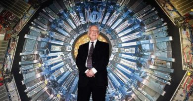 El bosón de Higgs interactúa con partículas como los muones, algo infrecuente