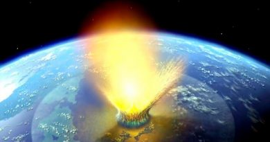 Identifican nueva extinción masiva; habría propiciado el reinado de los dinosaurios
