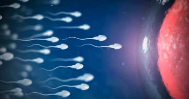 El coronavirus podría afectar a la fertilidad de los espermatozoides