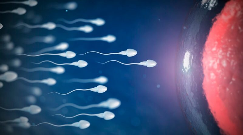El coronavirus podría afectar a la fertilidad de los espermatozoides