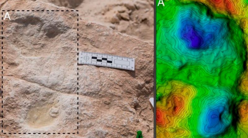 Huellas humanas de 120 mil años halladas en un antiguo lago de Arabia