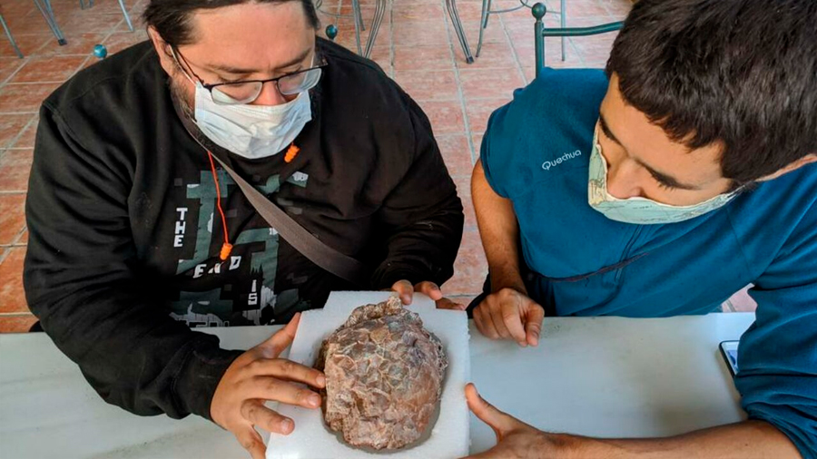 Descubren en España uno de los mayores yacimientos de huevos de dinosaurio del mundo