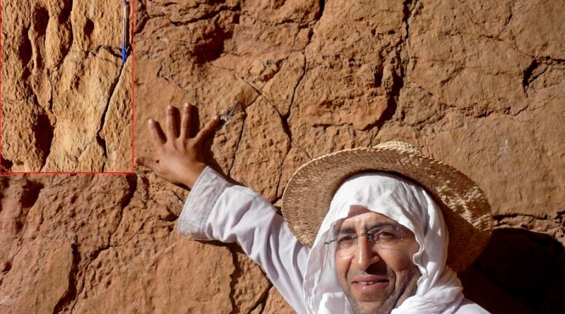 Profesor marroquí impide que sitio de dinosaurios sea convertido en cantera