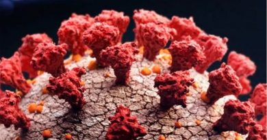 Los virus mortales que desaparecieron sin dejar rastro (y qué lecciones nos dejan para combatir el coronavirus)