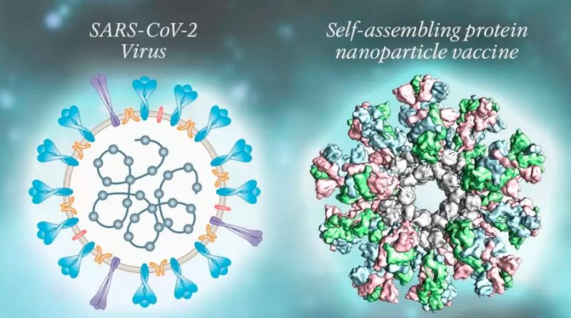 Vacuna contra COVID-19 hecha con nanopartículas genera respuesta inmune en pruebas preclínicas