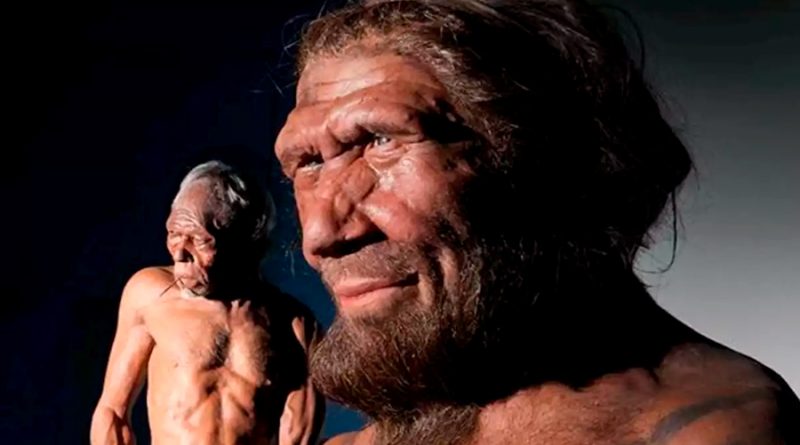 La mezcla temprana con humanos cambió el cromosoma Y en neandertales