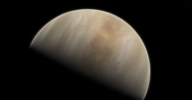La vida terrestre pudo haber viajado a Venus a bordo de un asteroide