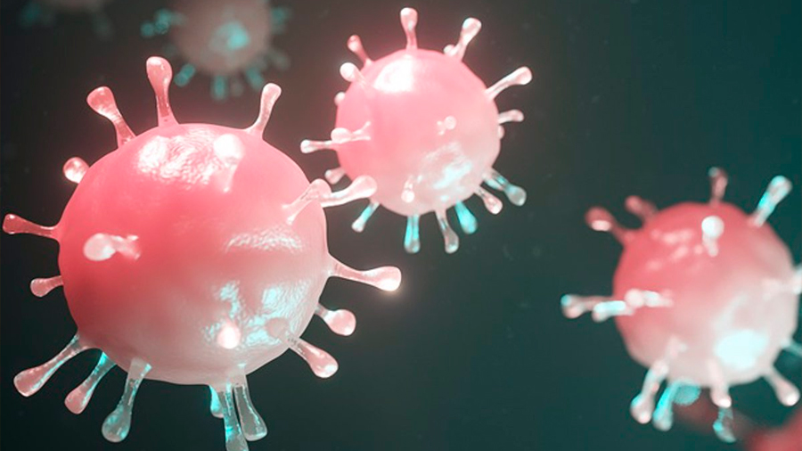 El coronavirus muta de forma "bastante lenta" en comparación a otros virus, según la OMS