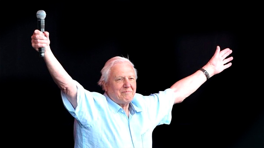 David Attenborough: el naturalista y estrella de TV de 94 años que bate récords en Instagram
