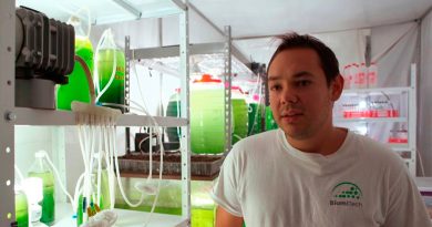 Crea innovador mexicano biorreactores de microalgas que secuestran el carbono atmosférico para purificar el aire