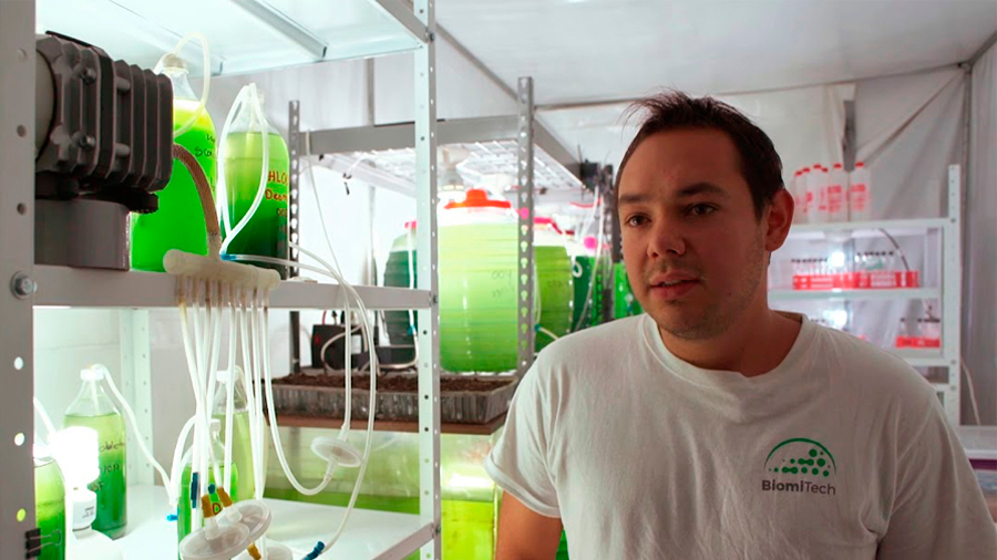 Crea innovador mexicano biorreactores de microalgas que secuestran el carbono atmosférico para purificar el aire