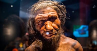 ADN heredado del Neandertal puede provocar manifestaciones más graves de covid-19