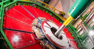 Primera evidencia de que el bosón de Higgs se descompone en dos muones