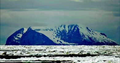 La historia de San Mateo, la isla de Alaska que ningún humano logró conquistar en 400 años