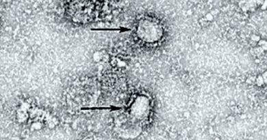 Científicos estudian posible mutación del coronavirus en la Patagonia