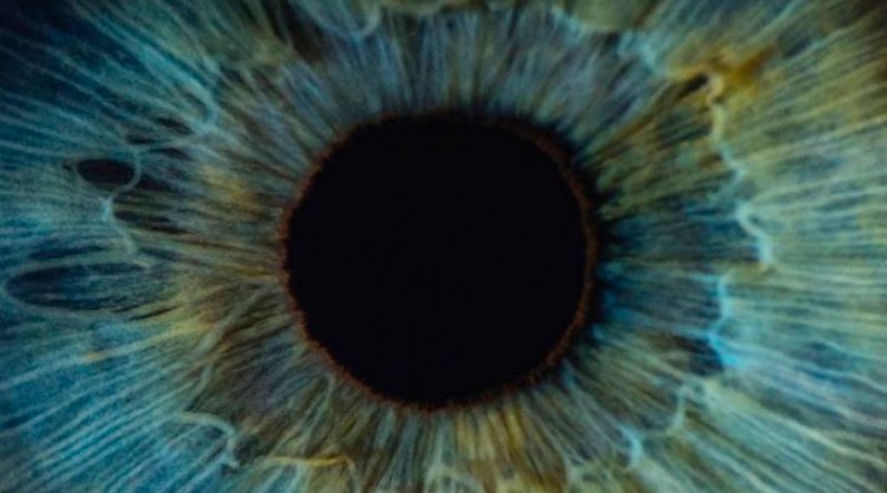 Autopsias muestran la presencia de coronavirus en los ojos de víctimas