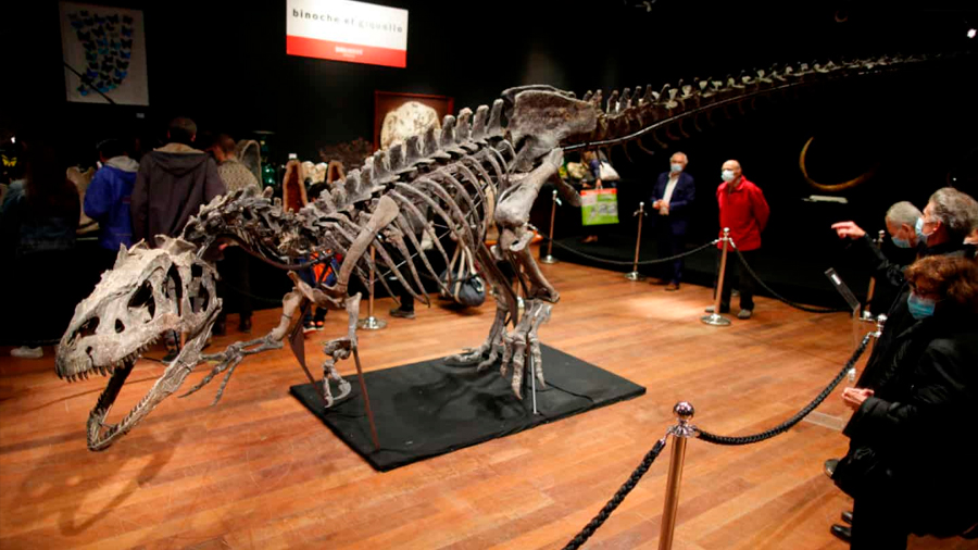 El esqueleto de un alosaurio, vendido por más tres millones de euros