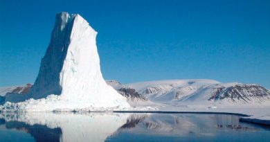 Supervivencia ártica: el fitoplancton sigue creciendo sin luz y bajo el hielo en invierno