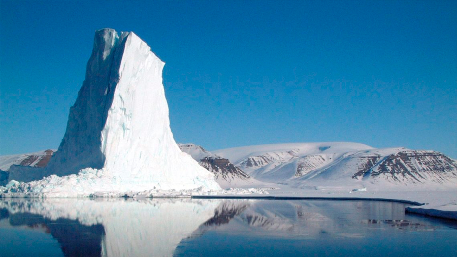 Supervivencia ártica: el fitoplancton sigue creciendo sin luz y bajo el hielo en invierno