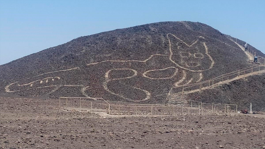 Un gato de 37 metros: el nuevo geoglifo hallado en Nazca (Perú)