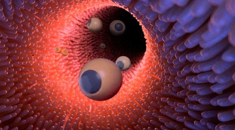 Crean microbots magnéticos finos como pelos para administrar fármacos en el intestino