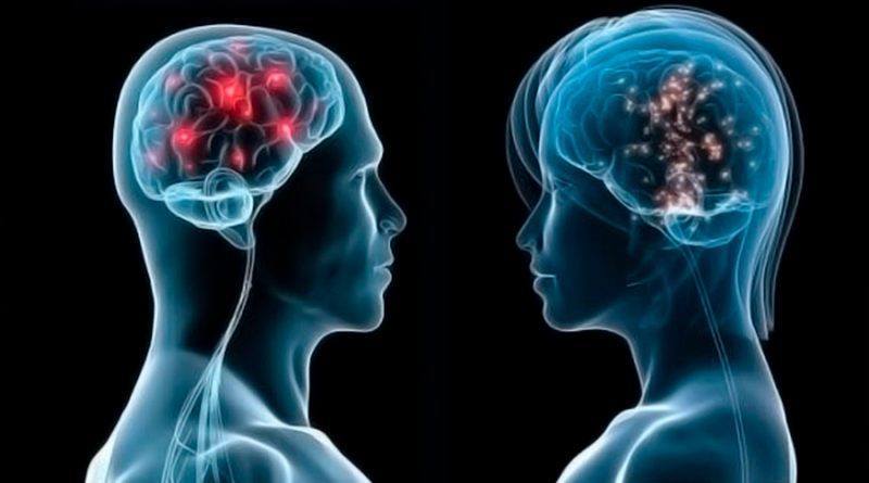 Neurosexismo: la ciencia que rompe el mito de las diferencias cognitivas entre el hombre y la mujer