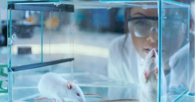UNAM hace ensayos preclínicos de tumores en ratones