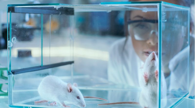 UNAM hace ensayos preclínicos de tumores en ratones