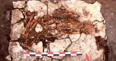 Descubren el cráneo de un hombre que tuvo una "cirugía prehistórica" de cerebro hace 5000 años