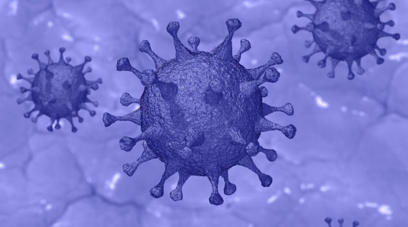 El virus del covid-19 se está haciendo "más exitoso" en su propagación