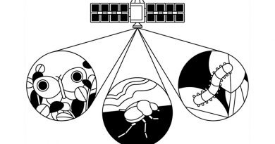 Monitorizar insectos desde el espacio para salvar el planeta
