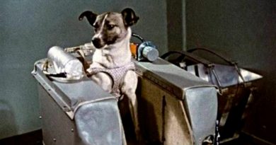 La increíble odisea de Laika, la perrita "pionera" enviada a morir al espacio