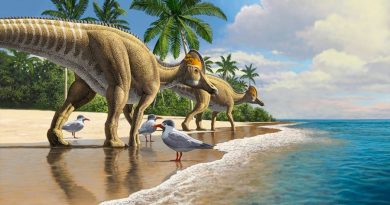 Publican primera investigación en sugerir que los dinosaurios cruzaron el océano