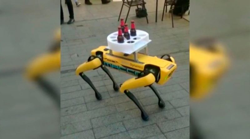 Así es el “perro robot” que ha sorprendido sirviendo las mesas en un bar de España