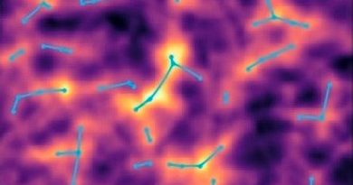 Un nuevo análisis estadístico sobre datos de más de 15 mil filamentos cósmicos, obtenidos por el telescopio espacial ROSAT, arroja indicios sobre la presencia de materia oscura, oculta en áreas de gas caliente. La materia oscura que conforma entre el 40 y el 50 por ciento de las formaciones de gas caliente ubicadas en los filamentos cósmicos habría sido detectada por un equipo de investigadores del Instituto de Astrofísica Espacial de Francia. Según un comunicado, los astrofísicos trabajaron en base a datos de 15.165 filamentos obtenidos por el telescopio espacial ROSAT, un proyecto dirigido por el Centro Aeroespacial Alemán y lanzado en 1990. La distribución de las galaxias en el universo toma la forma de una extensa y compleja red de nodos. Cada uno de los mismos se interconecta a través de filamentos, separados al mismo tiempo por zonas de vacío. Todo este sistema se denomina red cósmica, pero sin embargo un porcentaje importante de la misma no ha podido ser detectada hasta hoy. Aunque se sabe que prácticamente la totalidad de la materia ordinaria del universo se encuentra en forma gaseosa en los filamentos mencionados anteriormente, entre un 40 y un 50 por ciento de la misma no puede ser detectada debido a la debilidad de las señales emitidas. Ahora, los astrofísicos franceses manifiestan haber encontrado indicios de la misma luego de reinterpretar datos obtenidos por el telescopio espacial ROSAT. Los expertos denominan bariones a los sectores gaseosos de materia oculta dentro de los filamentos que componen la red cósmica, debido a que la materia ordinaria también es conocida como bariónica. Precisamente el objetivo principal de la investigación, publicada en Astronomy & Astrophysics, fue detectar esos bariones de materia oscura en los filamentos cósmicos, analizando los datos del proyecto ROSAT. Señales de rayos X ¿Cómo fue posible la detección? Los astrónomos se basaron en las señales de rayos X recopiladas por el telescopio espacial alemán, obtenidas en 15.165 filamentos cósmicos que fueron identificados en el marco de dicho proyecto. Los especialistas estudiaron la correlación entre la posición de los filamentos y la emisión de rayos X asociada, hallando evidencias de la presencia de gas caliente en la red cósmica y logrando medir por primera vez su temperatura. En análisis anteriores, los integrantes del mismo equipo de investigación habían concretado la detección indirecta de gas caliente en la red cósmica, en ese caso mediante su efecto sobre el fondo cósmico de microondas, o sea la luz más antigua del universo que cubre toda su extensión en forma de radiación. Estos hallazgos previos y el descubrimiento actual permitirían probar en un futuro cercano la evolución del gas “oculto” en la estructura filamentosa de la red cósmica, utilizando datos de mejor calidad. La obsesión por la materia oscura Quizás no existe un problema más trascendente para la cosmología en la actualidad que la materia oscura. Compuesta por partículas que no absorben, reflejan o emiten luz, es imposible detectar su presencia por observación de la radiación electromagnética o por observación directa, como sucede con la materia convencional. Se reconoce su existencia debido a los efectos que genera sobre objetos que sí pueden observarse directamente, en tanto que muchas teorías indican que la materia oscura puede servir para explicar los movimientos inusuales de estrellas entre galaxias, entre muchos otros fenómenos. Se cree que la materia oscura compone aproximadamente el 85 por ciento de la materia existente en el universo. Ahora, el estudio francés parece haber dado un gran paso en el descubrimiento de la materia oscura bariónica, en referencia a los bariones o bloques no detectados de gas. ¿Podrá confirmarse finalmente en futuras investigaciones la presencia de estas áreas “ocultas” de gas caliente en los filamentos cósmicos? Fuente: tendencias21.levante-emv.com