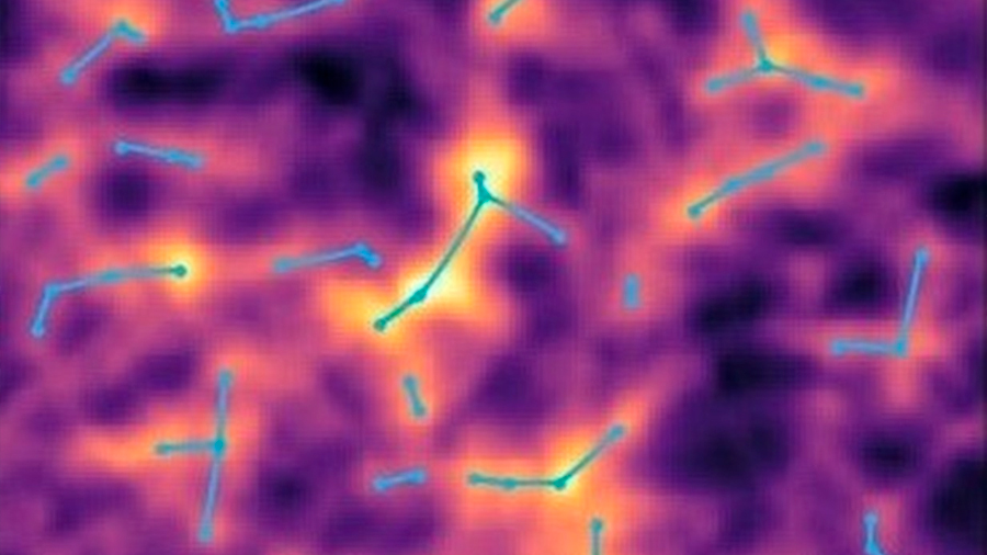 Un nuevo análisis estadístico sobre datos de más de 15 mil filamentos cósmicos, obtenidos por el telescopio espacial ROSAT, arroja indicios sobre la presencia de materia oscura, oculta en áreas de gas caliente. La materia oscura que conforma entre el 40 y el 50 por ciento de las formaciones de gas caliente ubicadas en los filamentos cósmicos habría sido detectada por un equipo de investigadores del Instituto de Astrofísica Espacial de Francia. Según un comunicado, los astrofísicos trabajaron en base a datos de 15.165 filamentos obtenidos por el telescopio espacial ROSAT, un proyecto dirigido por el Centro Aeroespacial Alemán y lanzado en 1990. La distribución de las galaxias en el universo toma la forma de una extensa y compleja red de nodos. Cada uno de los mismos se interconecta a través de filamentos, separados al mismo tiempo por zonas de vacío. Todo este sistema se denomina red cósmica, pero sin embargo un porcentaje importante de la misma no ha podido ser detectada hasta hoy. Aunque se sabe que prácticamente la totalidad de la materia ordinaria del universo se encuentra en forma gaseosa en los filamentos mencionados anteriormente, entre un 40 y un 50 por ciento de la misma no puede ser detectada debido a la debilidad de las señales emitidas. Ahora, los astrofísicos franceses manifiestan haber encontrado indicios de la misma luego de reinterpretar datos obtenidos por el telescopio espacial ROSAT. Los expertos denominan bariones a los sectores gaseosos de materia oculta dentro de los filamentos que componen la red cósmica, debido a que la materia ordinaria también es conocida como bariónica. Precisamente el objetivo principal de la investigación, publicada en Astronomy & Astrophysics, fue detectar esos bariones de materia oscura en los filamentos cósmicos, analizando los datos del proyecto ROSAT. Señales de rayos X ¿Cómo fue posible la detección? Los astrónomos se basaron en las señales de rayos X recopiladas por el telescopio espacial alemán, obtenidas en 15.165 filamentos cósmicos que fueron identificados en el marco de dicho proyecto. Los especialistas estudiaron la correlación entre la posición de los filamentos y la emisión de rayos X asociada, hallando evidencias de la presencia de gas caliente en la red cósmica y logrando medir por primera vez su temperatura. En análisis anteriores, los integrantes del mismo equipo de investigación habían concretado la detección indirecta de gas caliente en la red cósmica, en ese caso mediante su efecto sobre el fondo cósmico de microondas, o sea la luz más antigua del universo que cubre toda su extensión en forma de radiación. Estos hallazgos previos y el descubrimiento actual permitirían probar en un futuro cercano la evolución del gas “oculto” en la estructura filamentosa de la red cósmica, utilizando datos de mejor calidad. La obsesión por la materia oscura Quizás no existe un problema más trascendente para la cosmología en la actualidad que la materia oscura. Compuesta por partículas que no absorben, reflejan o emiten luz, es imposible detectar su presencia por observación de la radiación electromagnética o por observación directa, como sucede con la materia convencional. Se reconoce su existencia debido a los efectos que genera sobre objetos que sí pueden observarse directamente, en tanto que muchas teorías indican que la materia oscura puede servir para explicar los movimientos inusuales de estrellas entre galaxias, entre muchos otros fenómenos. Se cree que la materia oscura compone aproximadamente el 85 por ciento de la materia existente en el universo. Ahora, el estudio francés parece haber dado un gran paso en el descubrimiento de la materia oscura bariónica, en referencia a los bariones o bloques no detectados de gas. ¿Podrá confirmarse finalmente en futuras investigaciones la presencia de estas áreas “ocultas” de gas caliente en los filamentos cósmicos? Fuente: tendencias21.levante-emv.com