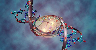 Crean un reloj epigenético que predice la evolución de pacientes con cáncer