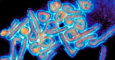 Surge en Bolivia virus parecido al ébola; ya es estudiado en EU