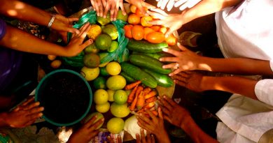 Premian proyectos que potencian la seguridad alimentaria y la sustentabilidad en México