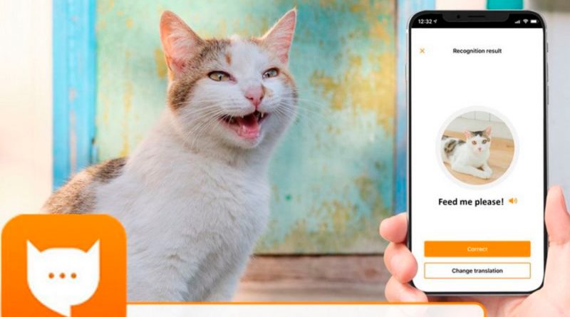 La aplicación que puede traducir los maullidos de tu gato
