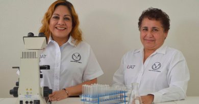Investigadoras mexicanas fabrican papel con cáscara de cebolla