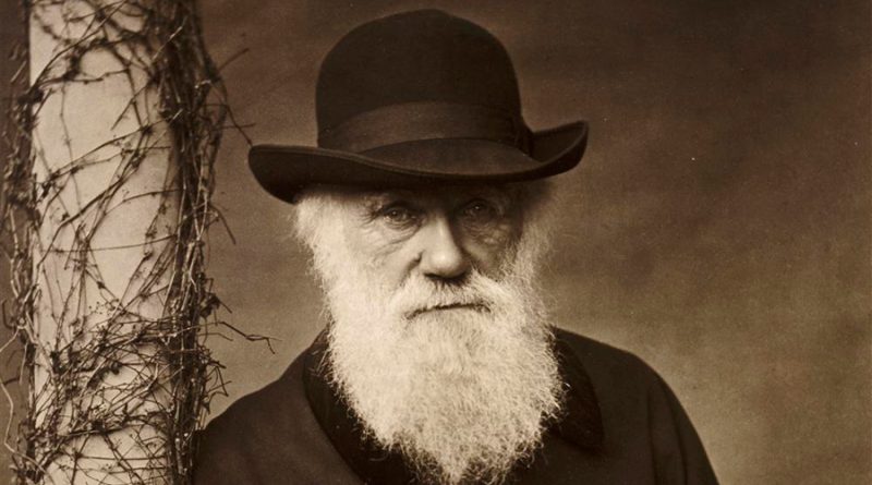 Misteriosa desaparición de El árbol de la vida que dibujó Charles Darwin, perdido desde hace 20 años