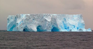 Los polos están conectados: cuando el hemisferio norte pierde hielo, el de la Antártida se encoge