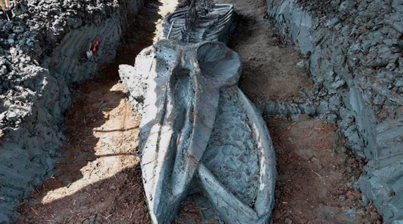 Descubren el fósil casi intacto de un cetáceo de tres mil años cerca de Bangkok