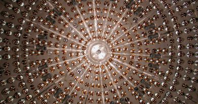 Un detector de neutrinos obtiene la primera prueba experimental de cómo brillan las estrellas masivas